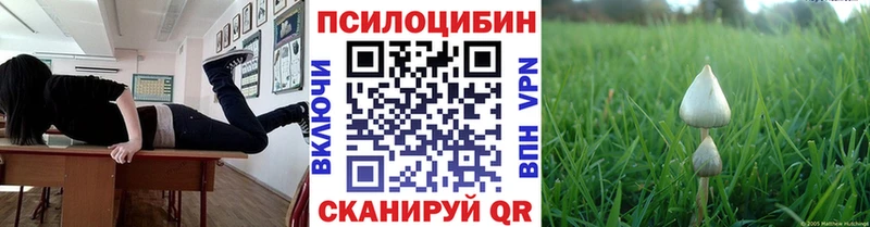 хочу   Кузнецк  Псилоцибиновые грибы ЛСД 
